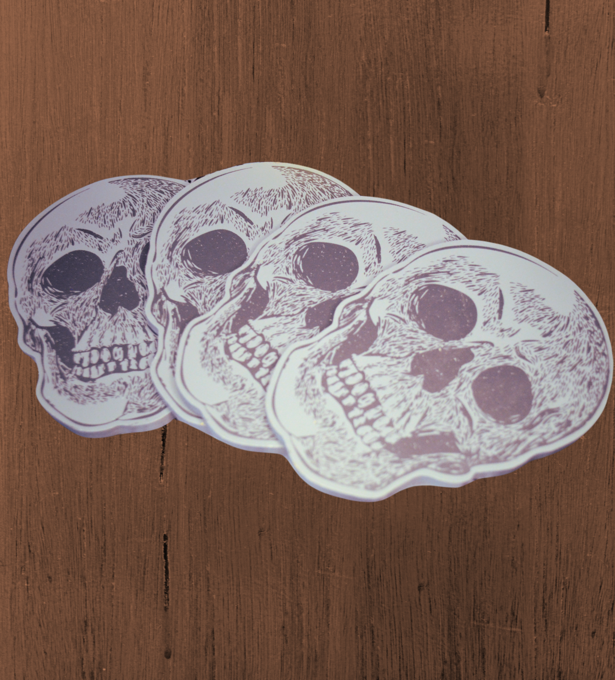 Skull Coasters